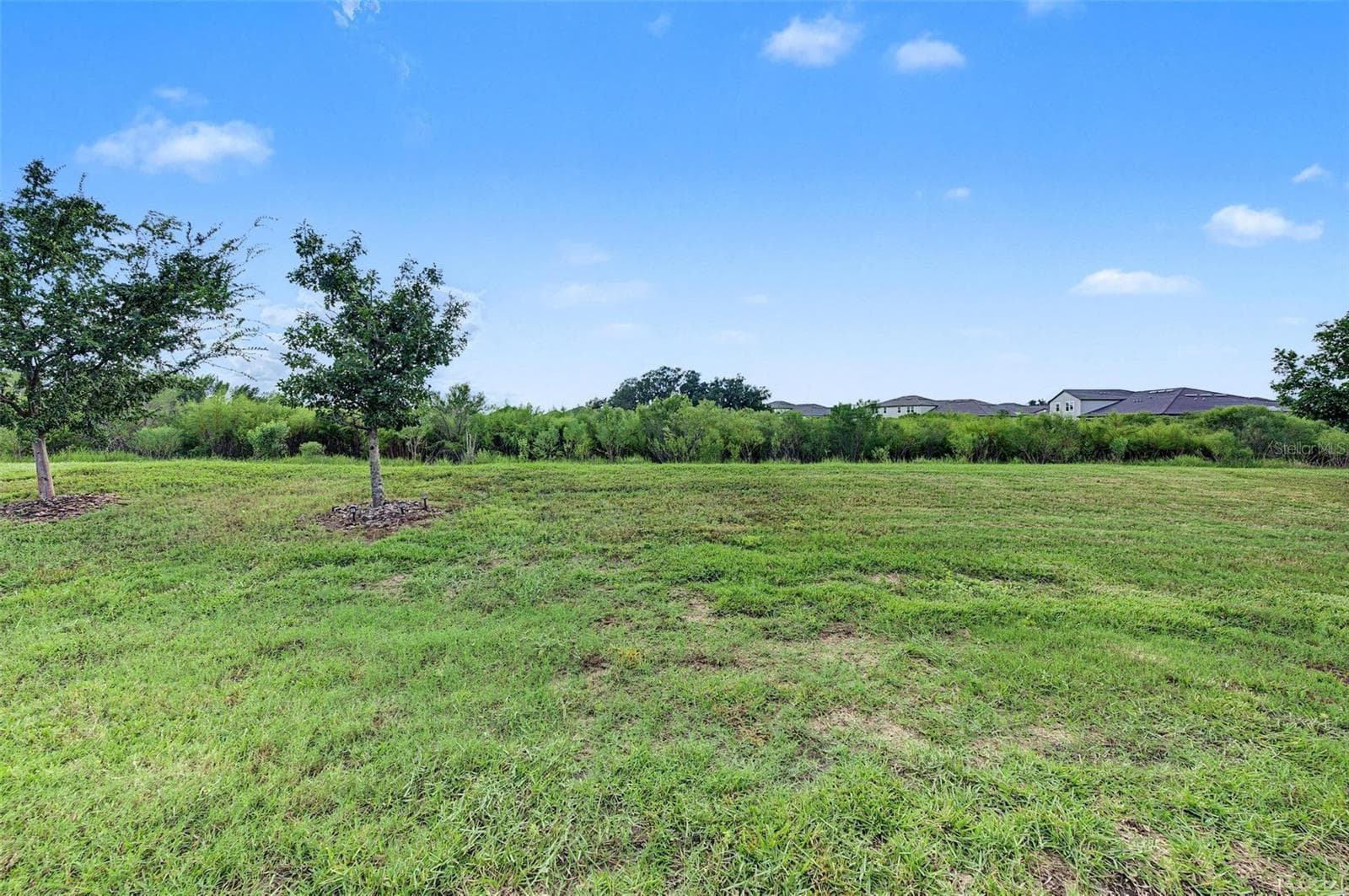 Single Family Residence at 31733 CABANA RYE AVE, SAN ANTONIO, photo 33 of 86
