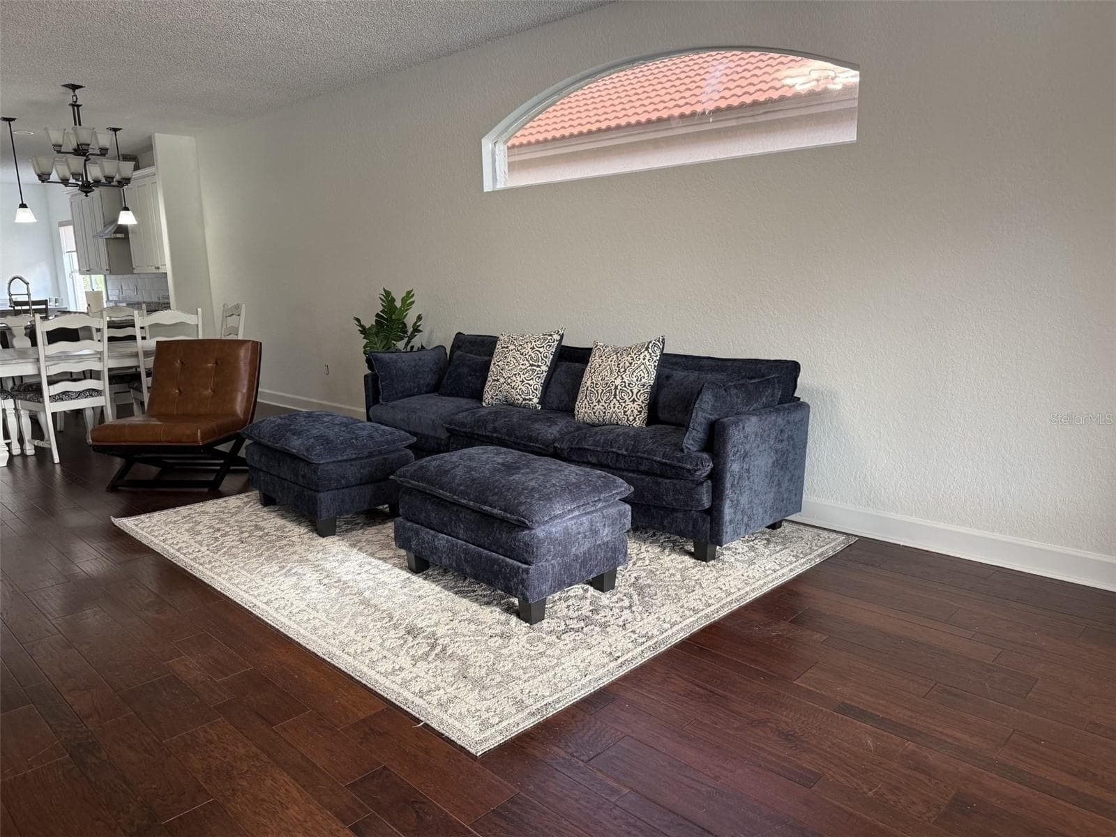 Freshly painted living room - 1338 DARTFORD DR, TARPON SPRINGS