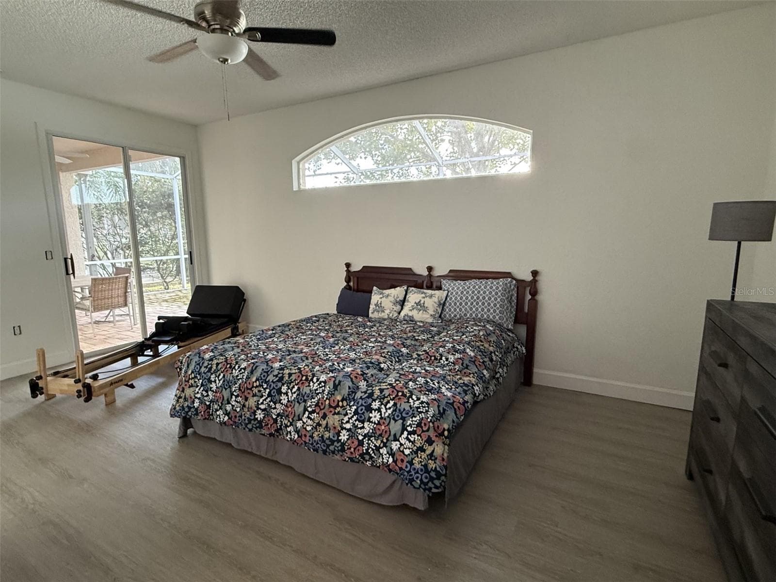 Freshly painted master bedroom - 1338 DARTFORD DR, TARPON SPRINGS