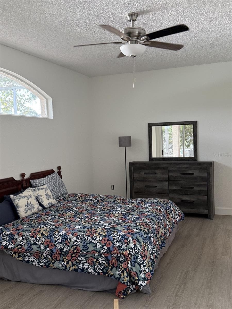 Freshly painted master bedroom - 1338 DARTFORD DR, TARPON SPRINGS