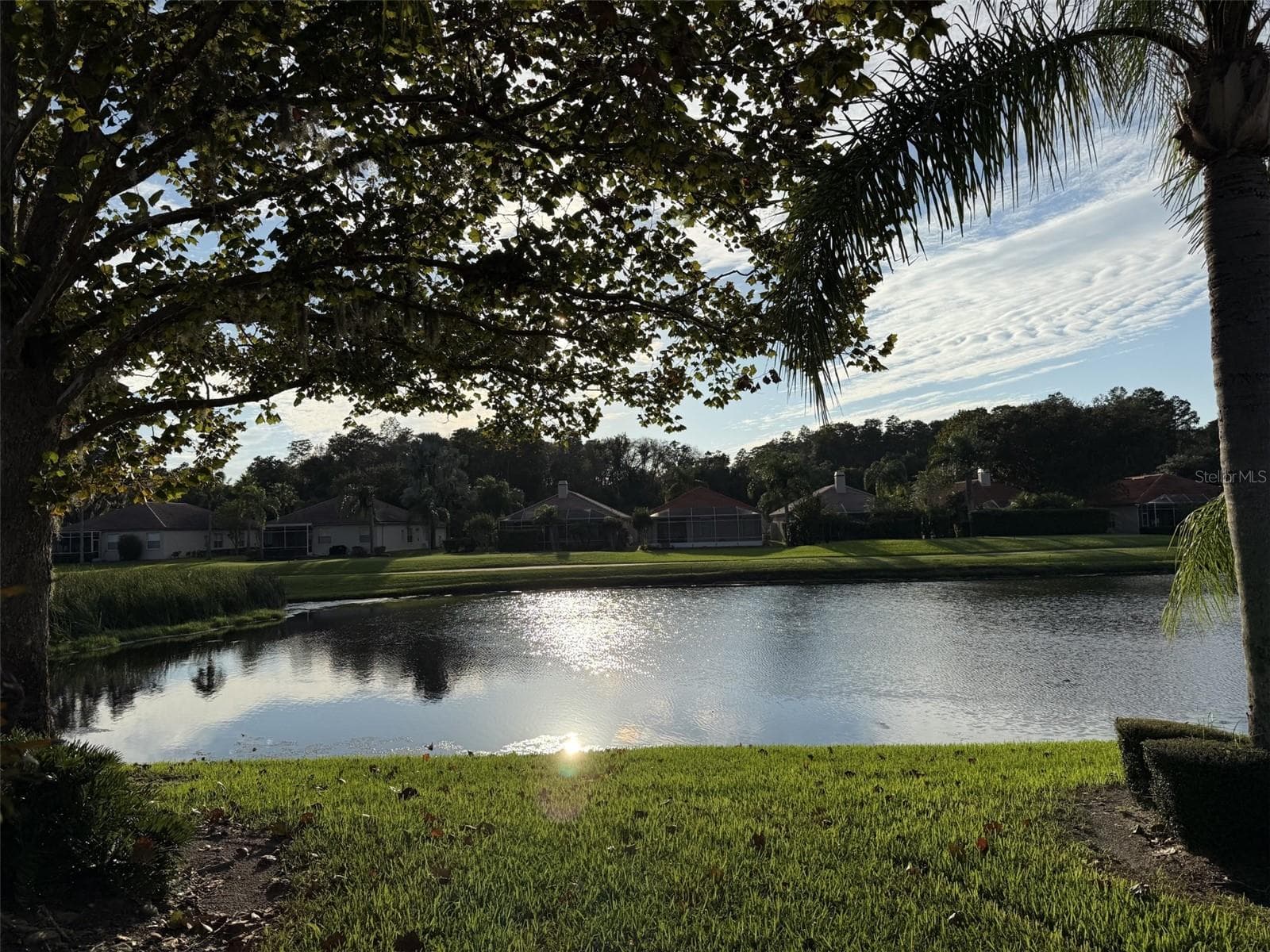 pond view from back of house - 1338 DARTFORD DR, TARPON SPRINGS
