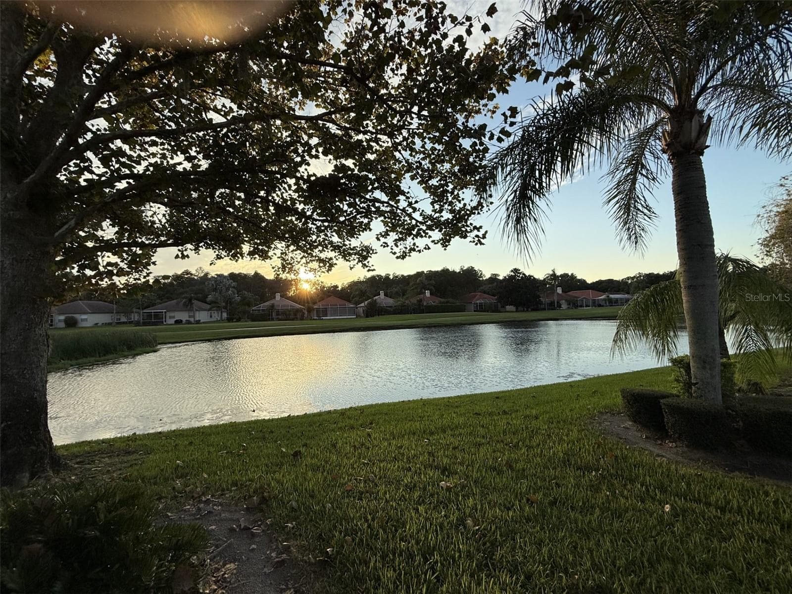 Sunset view from back of house - 1338 DARTFORD DR, TARPON SPRINGS