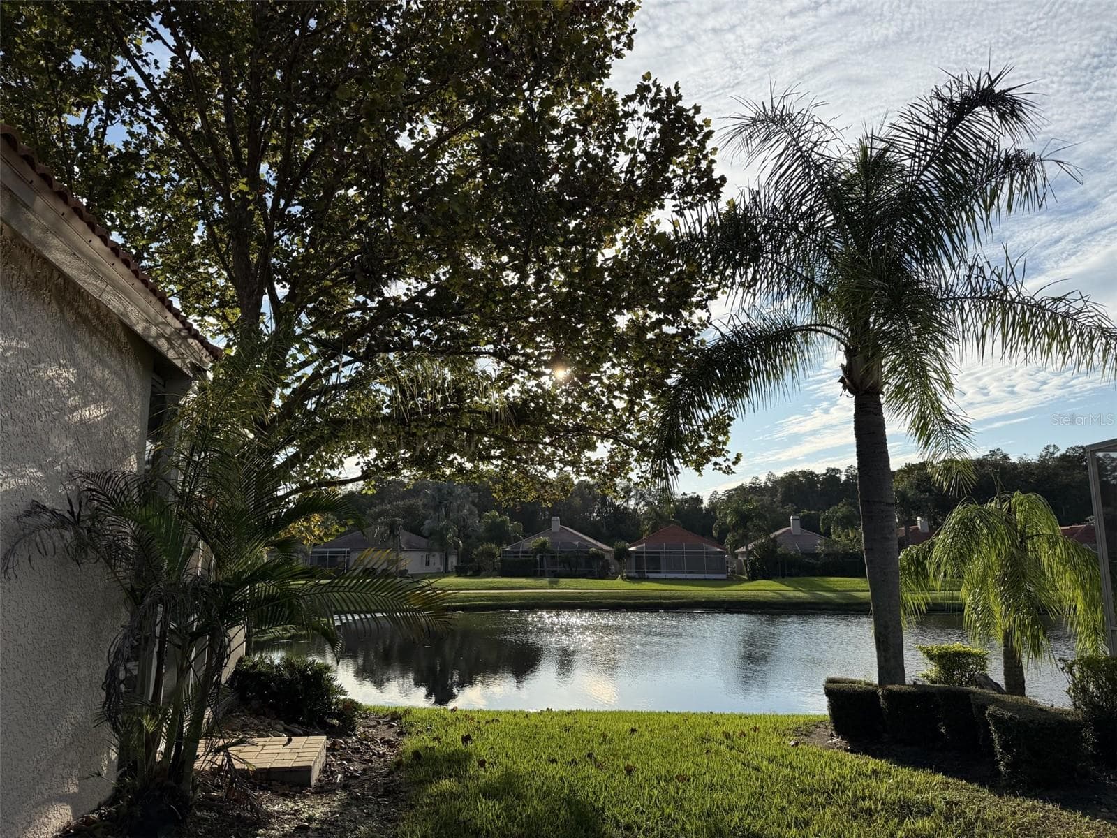 pondview from back of house - 1338 DARTFORD DR, TARPON SPRINGS