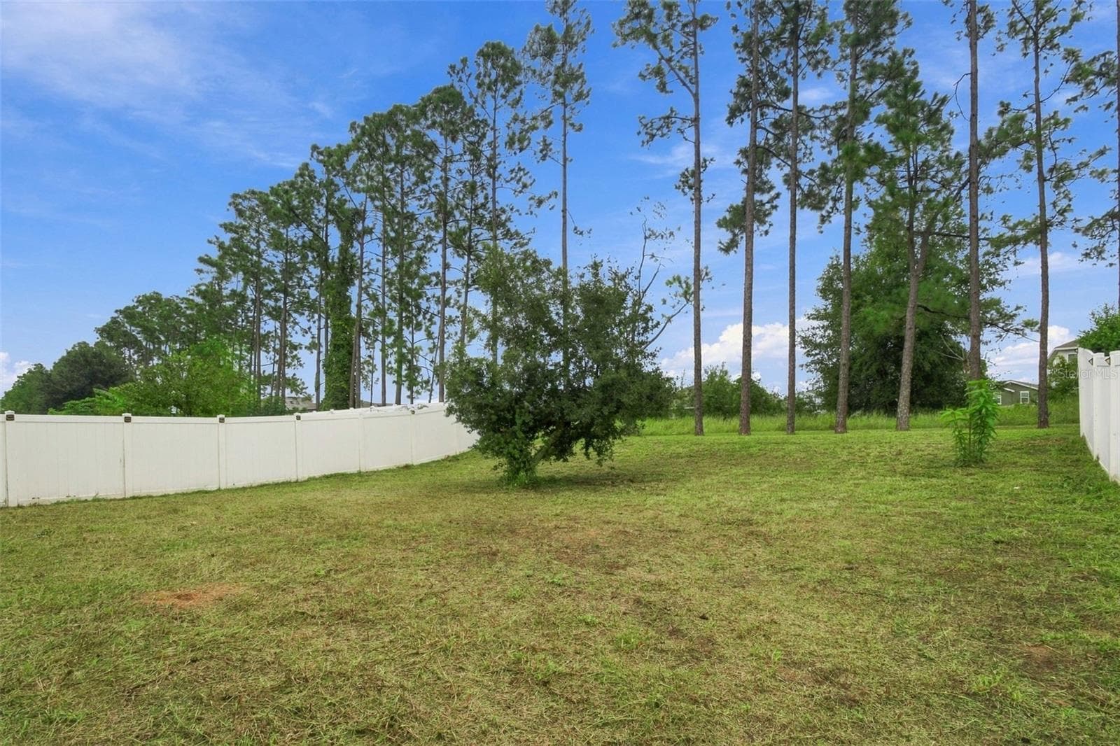 Single Family Residence at 1135 GARRETT GILLIAM DR, OCOEE, photo 37 of 40