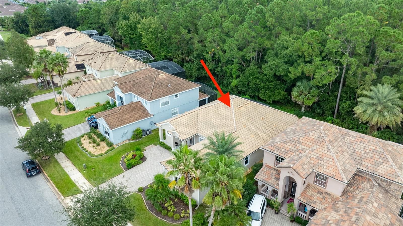 Single Family Residence at 481 LUNA BELLA LN, NEW SMYRNA BEACH, photo 36 of 50