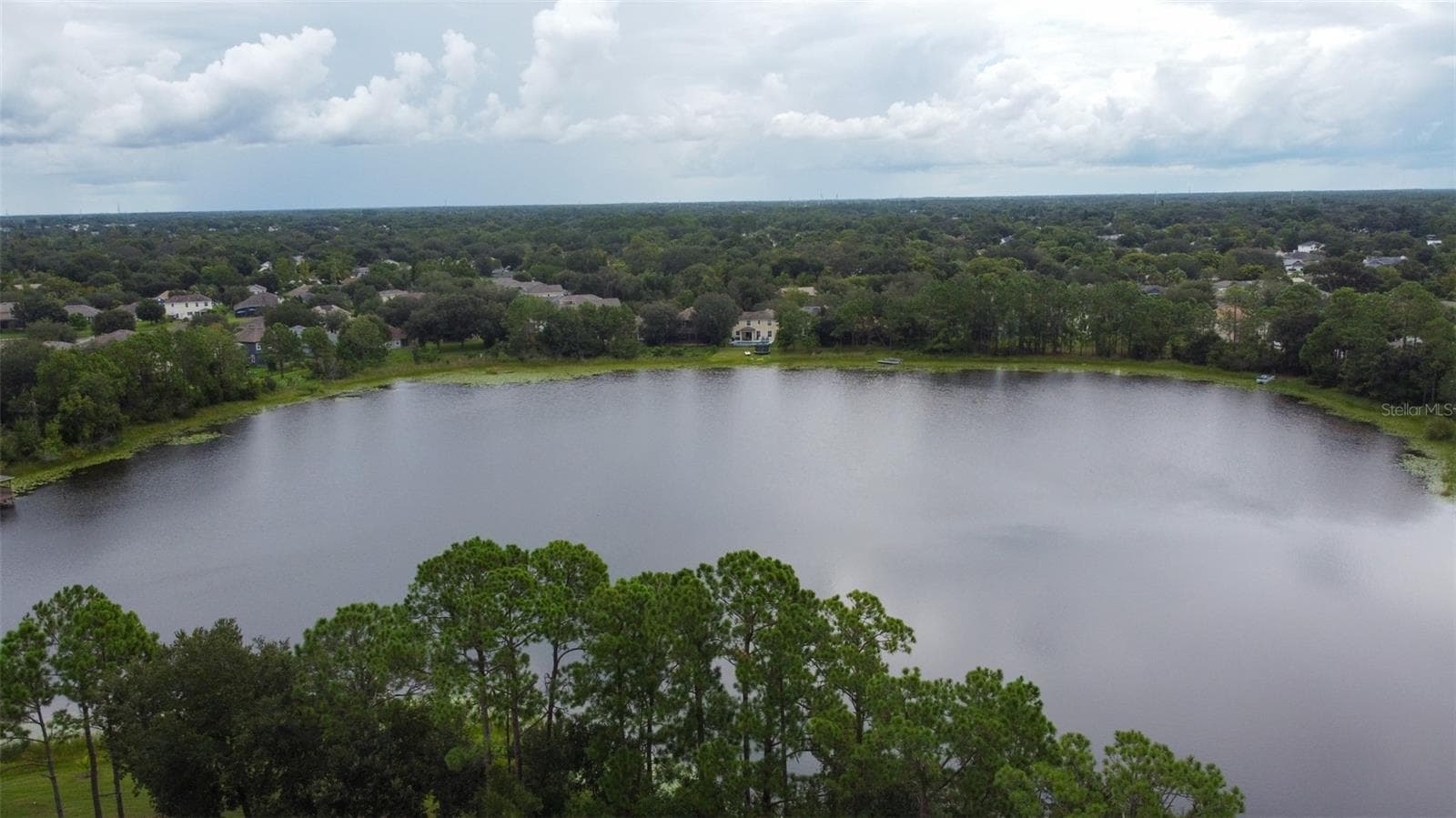 Single Family Residence at 3341 LAKE JEAN DR, ORLANDO, photo 3 of 64