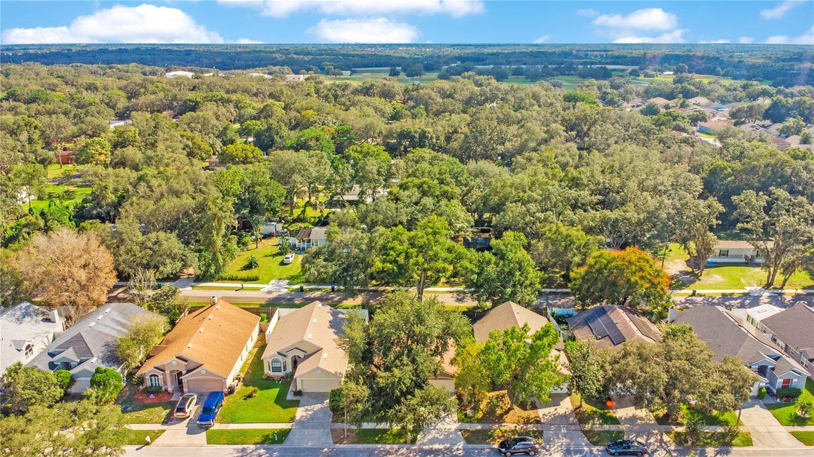 Aerial of Neighborhood - 1248 WOODFIELD OAKS DR, APOPKA