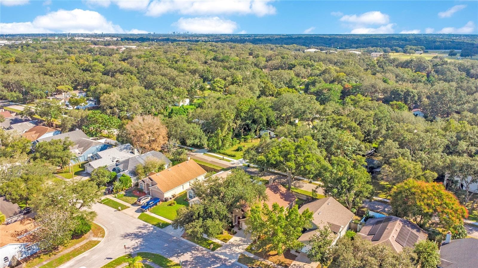 Aerial of Neighborhood - 1248 WOODFIELD OAKS DR, APOPKA