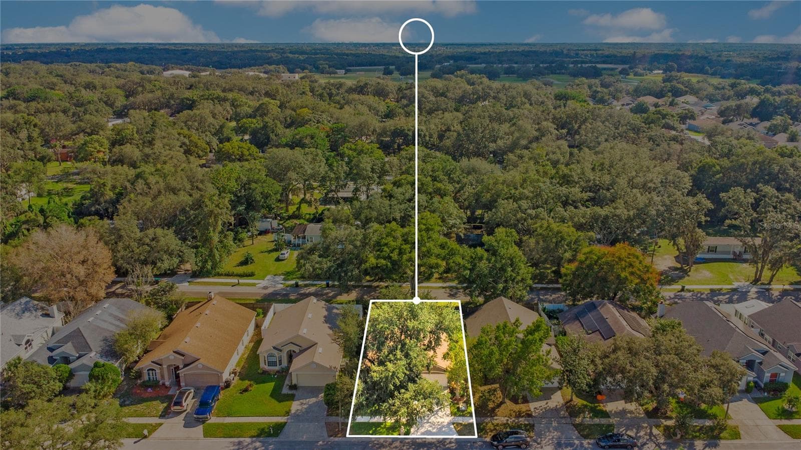Aerial of Home Outlined - 1248 WOODFIELD OAKS DR, APOPKA