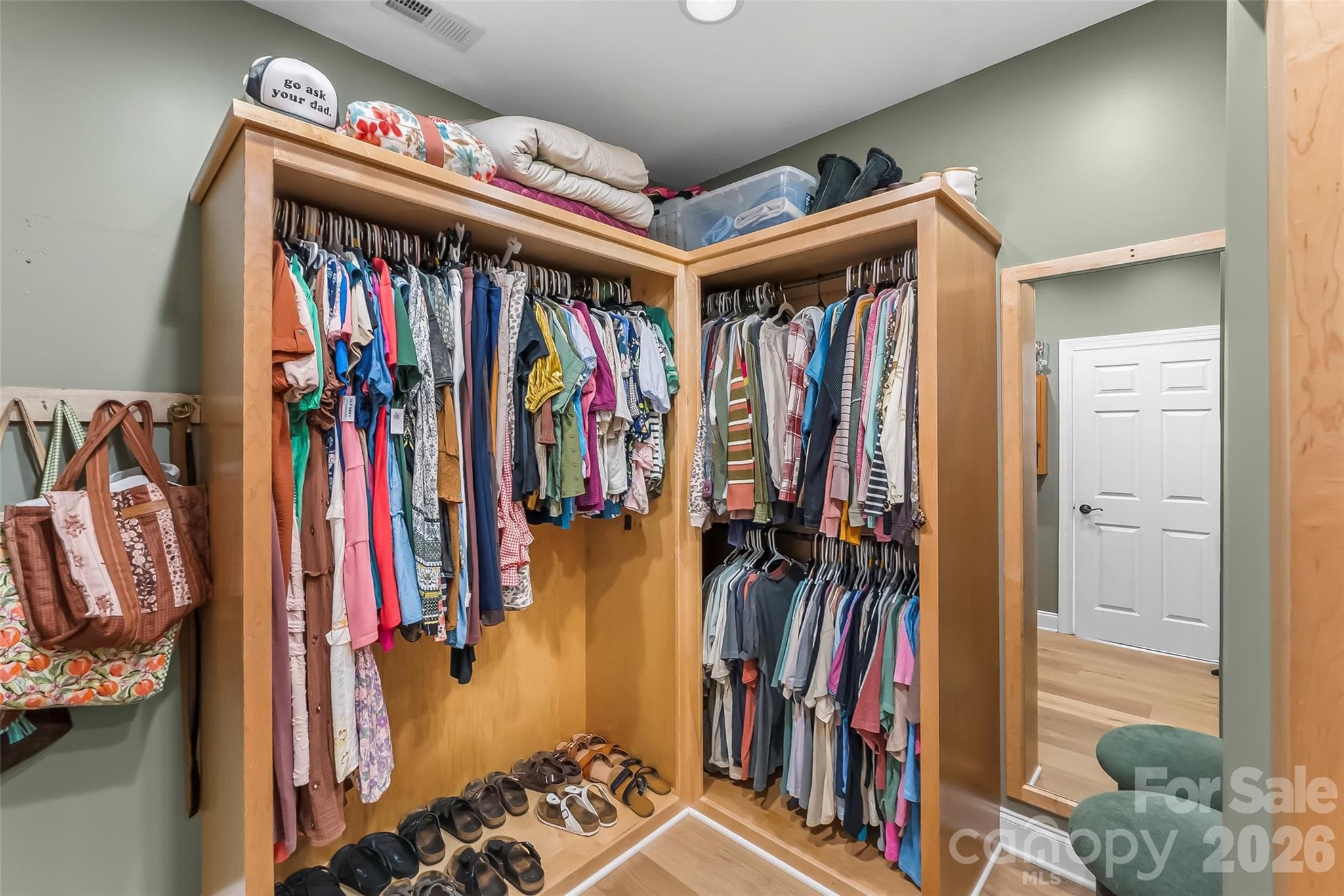 Primary Suite walk-in closet and dressing area. - 410 Timberland Drive, Marion