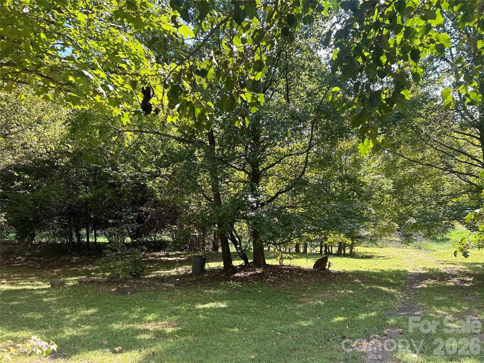 Pasture and Mature Trees - 335 Catawba Avenue, Davidson