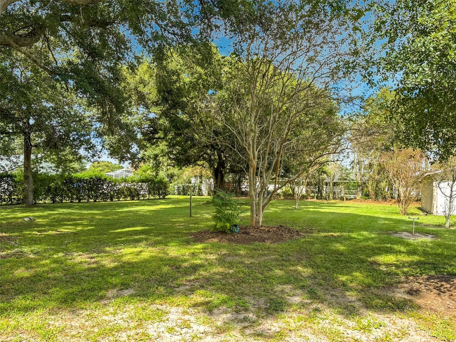 Back Yard - 6720 LAKELAND HIGHLANDS RD, LAKELAND