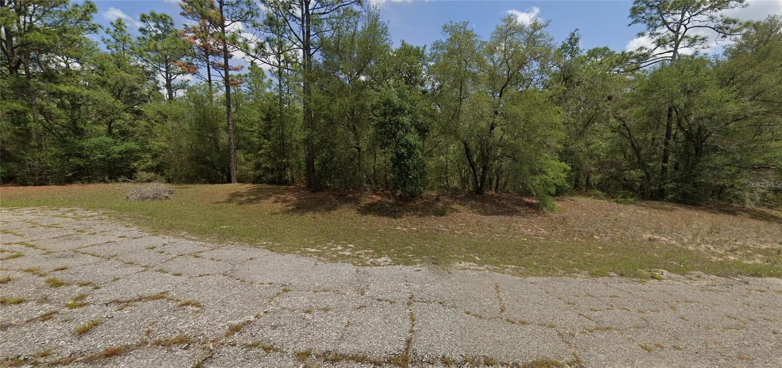 Land at 403 W WHITMARSH CT, CITRUS SPRINGS, photo 2 of 3