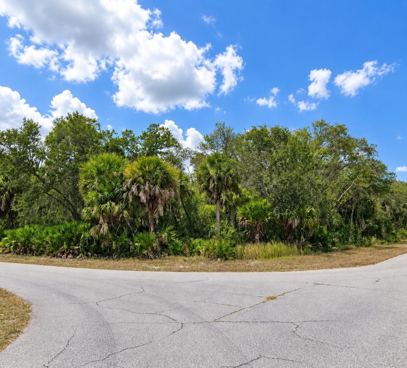 Land at 17117 GEOFFREY AVE, PORT CHARLOTTE, photo 2 of 3