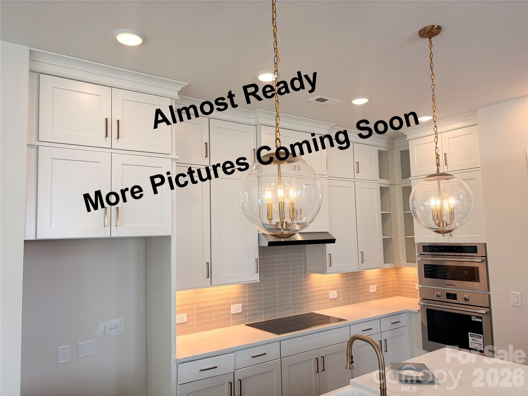 Single Family Residence at 5125 Hollow Branch Road, Charlotte, photo 2 of 39
