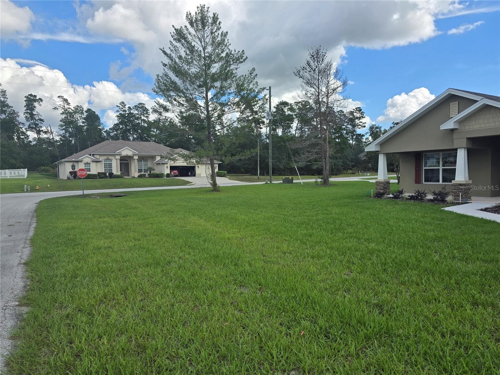 Big side yard on corner lot - 1 CHRYSANTHEMUM CT, HOMOSASSA