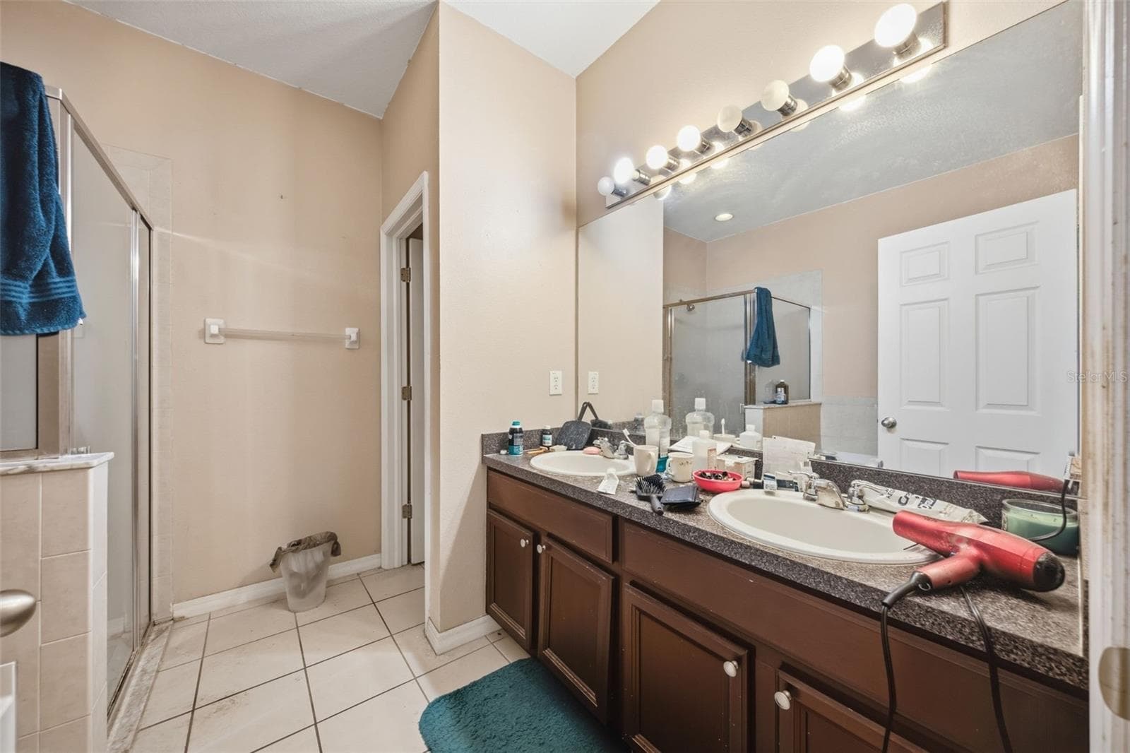 Primary bath - 10328 CELTIC ASH DR, RUSKIN