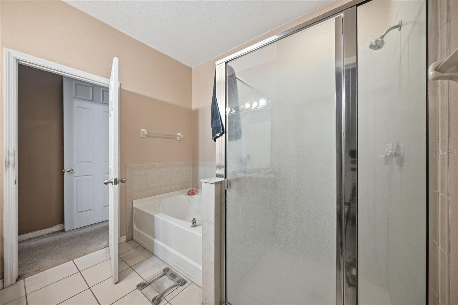 Primary bath - 10328 CELTIC ASH DR, RUSKIN