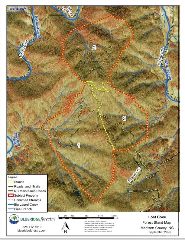 Portion for Sale is Stand #2 as shown on Forestry Map. - TBD Big Laurel Road, Marshall