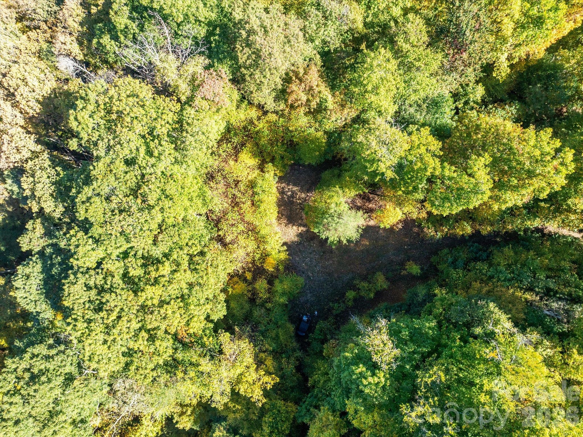 Acreage at TBD Big Laurel Road, Marshall, photo 6 of 22