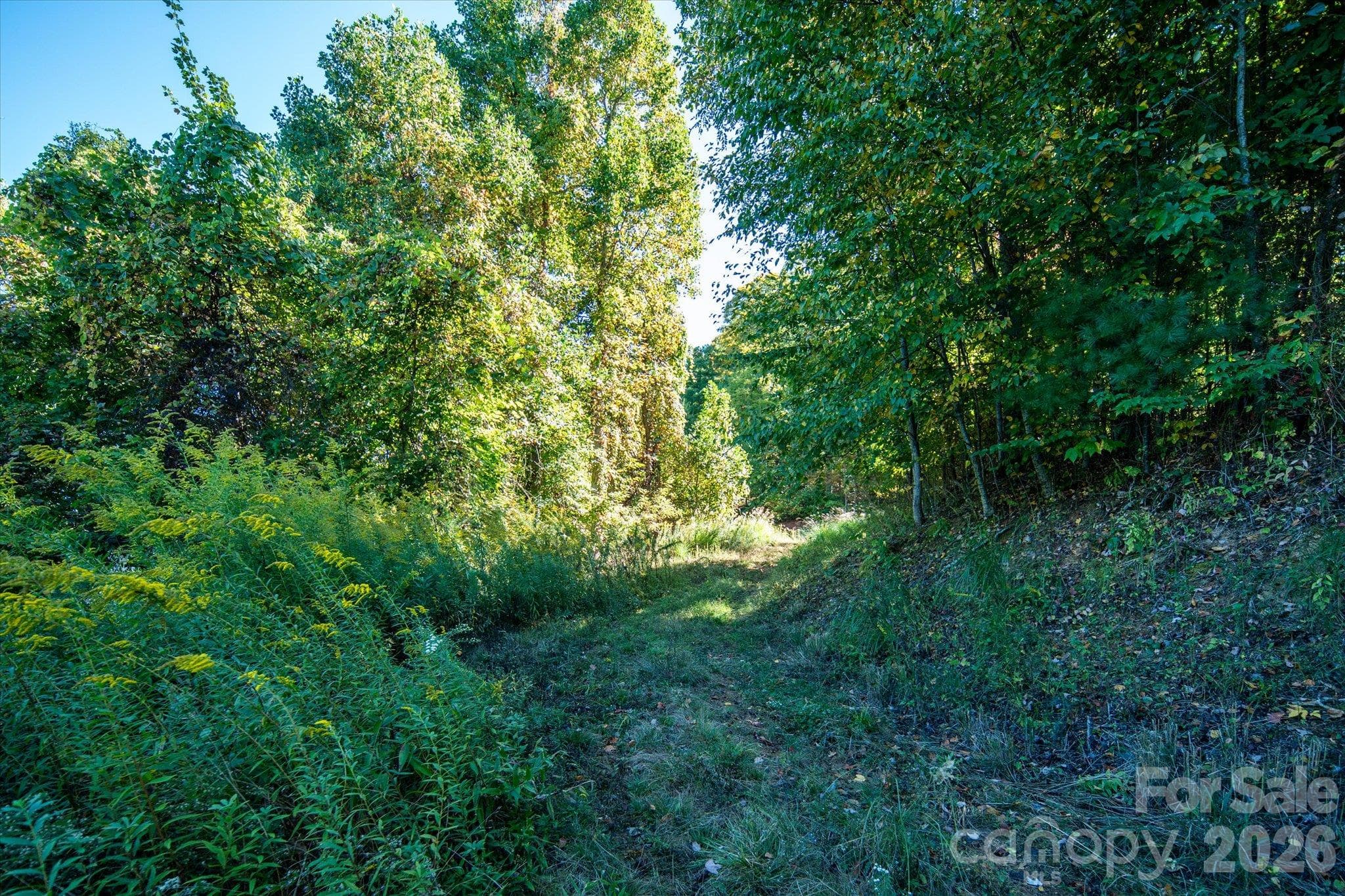 Acreage at TBD Big Laurel Road, Marshall, photo 7 of 22