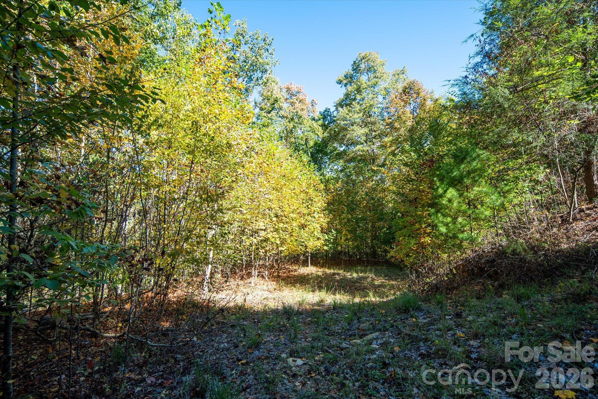 Acreage at TBD Big Laurel Road, Marshall, photo 10 of 22