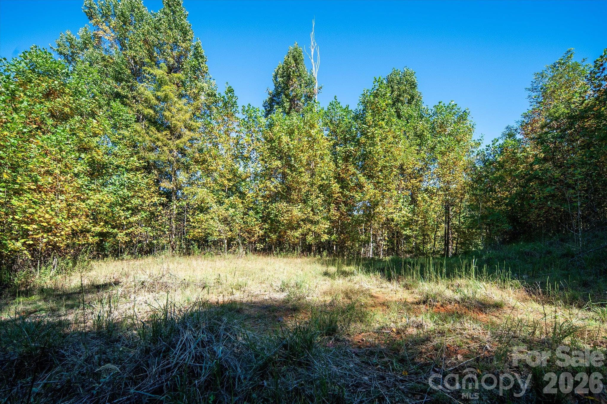 Acreage at TBD Big Laurel Road, Marshall, photo 15 of 22