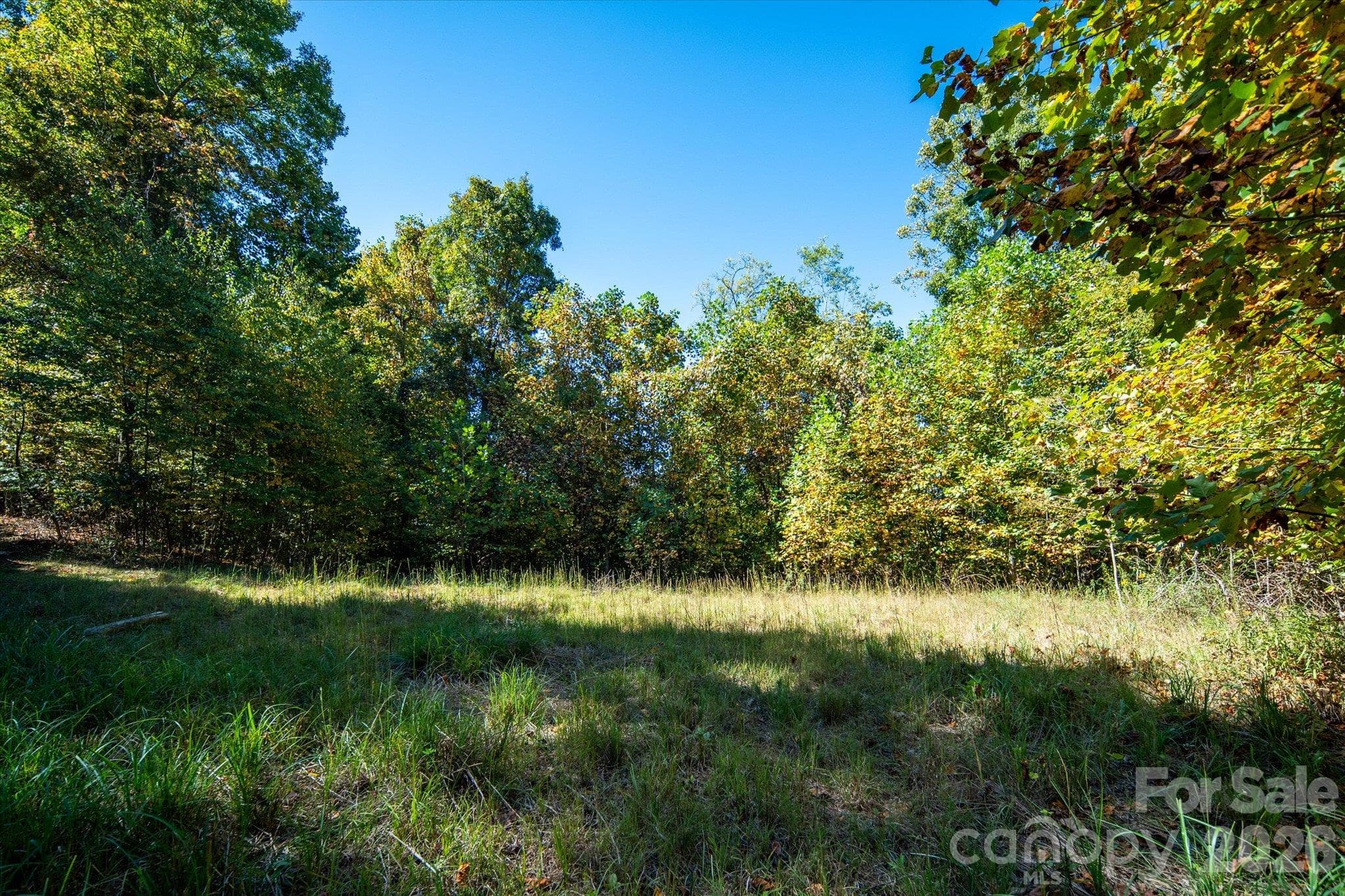 Acreage at TBD Big Laurel Road, Marshall, photo 16 of 22