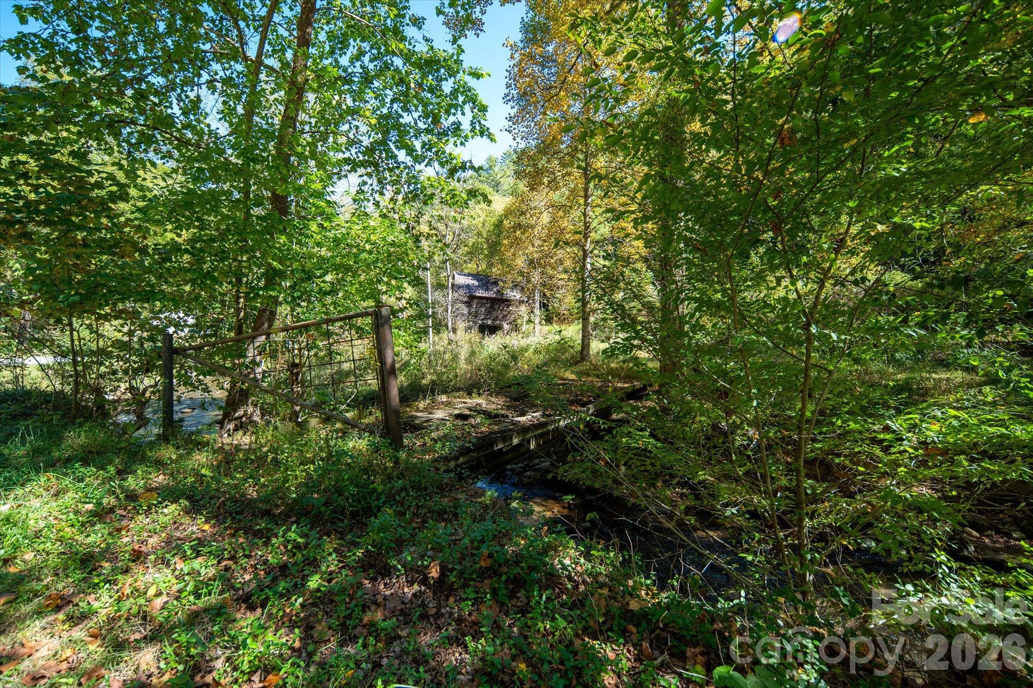 Acreage at TBD Big Laurel Road, Marshall, photo 17 of 22