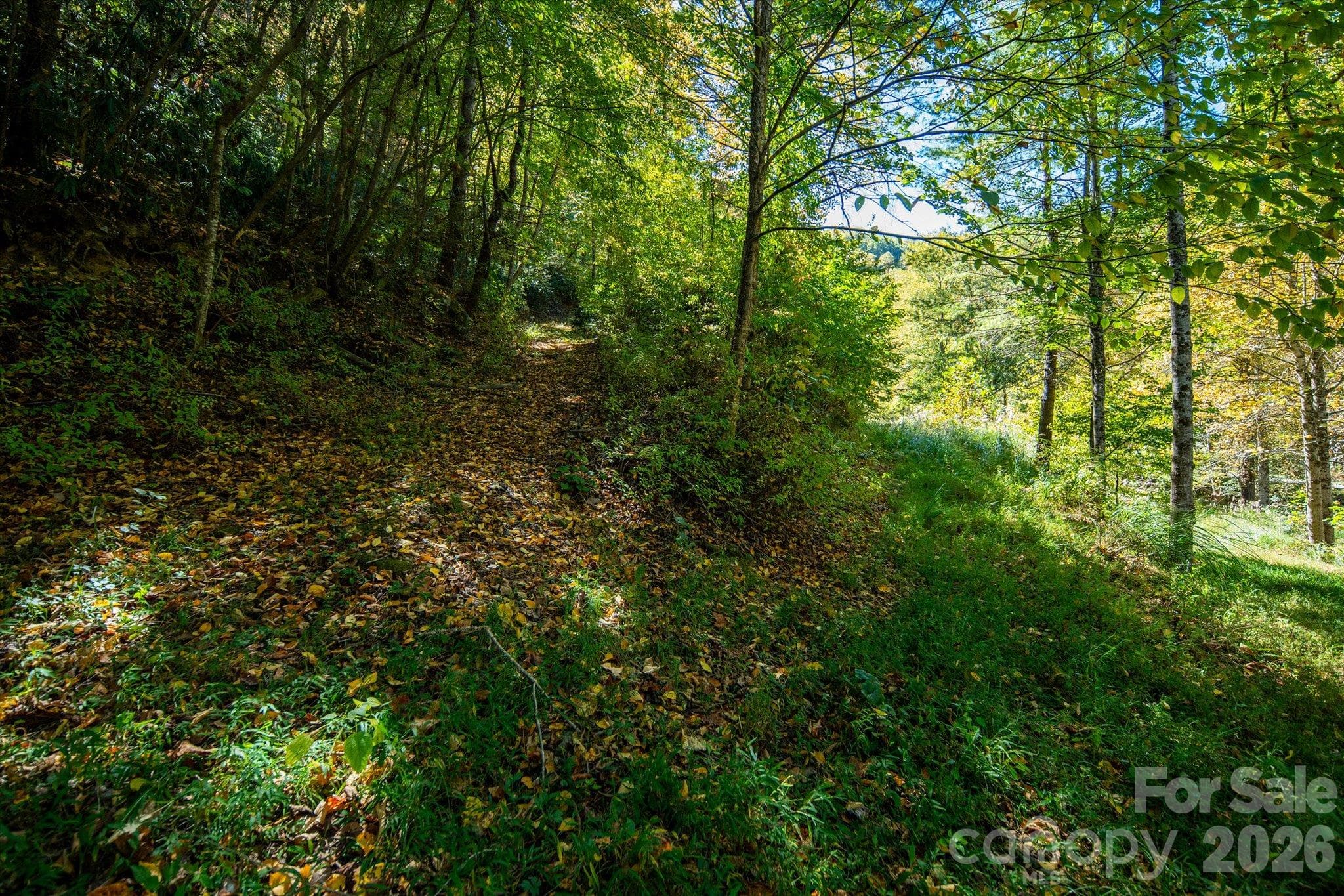 Acreage at TBD Big Laurel Road, Marshall, photo 18 of 22