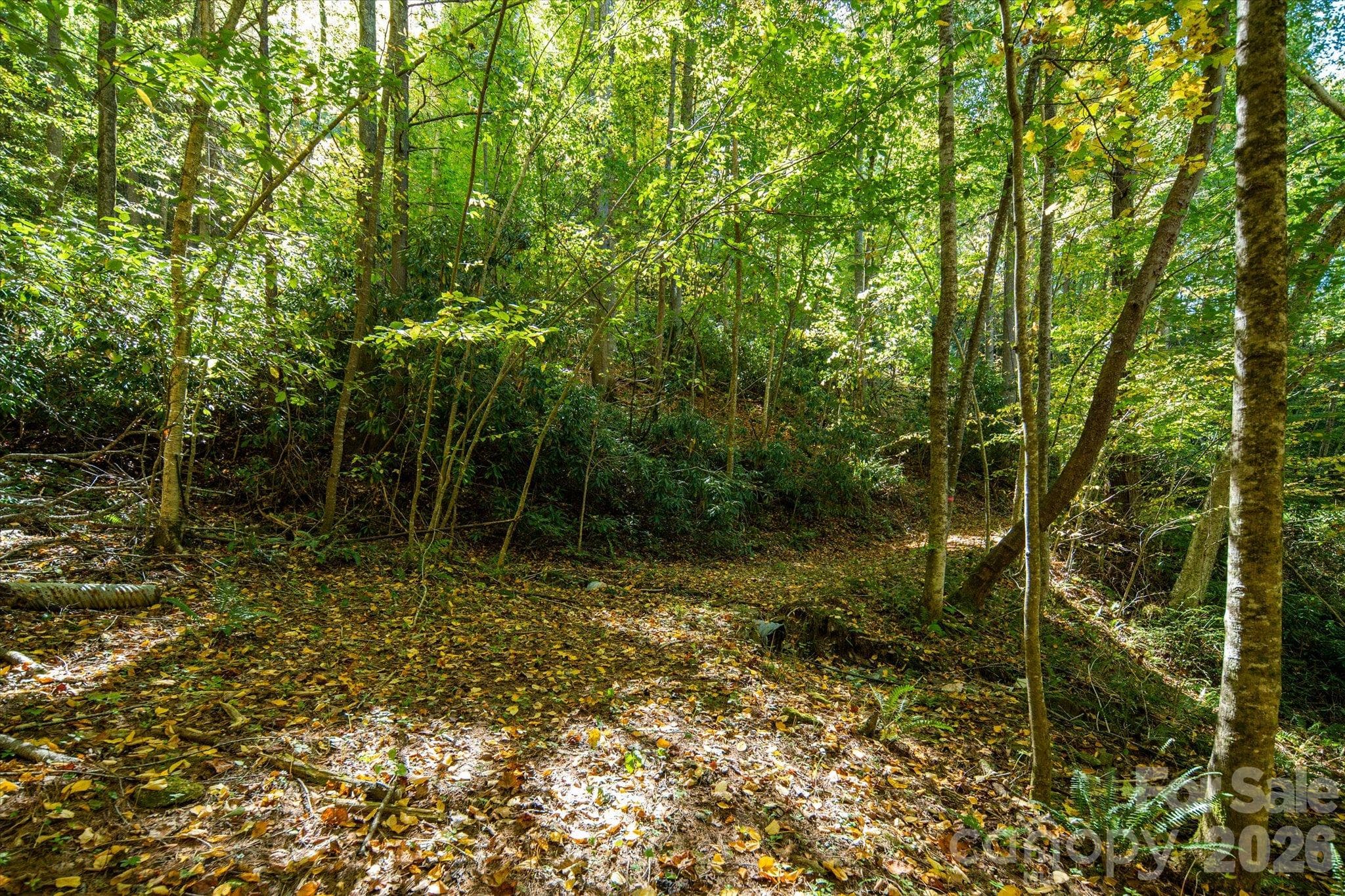 Acreage at TBD Big Laurel Road, Marshall, photo 19 of 22