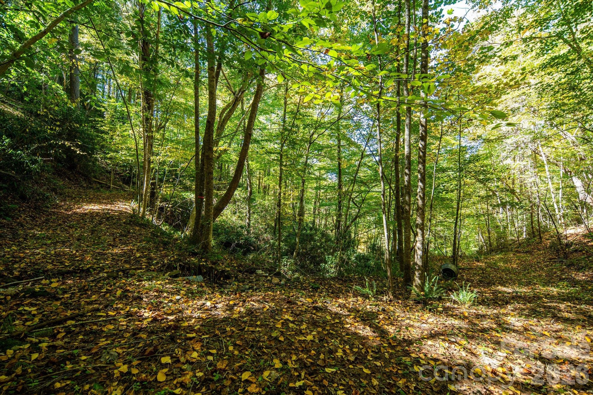 Acreage at TBD Big Laurel Road, Marshall, photo 20 of 22
