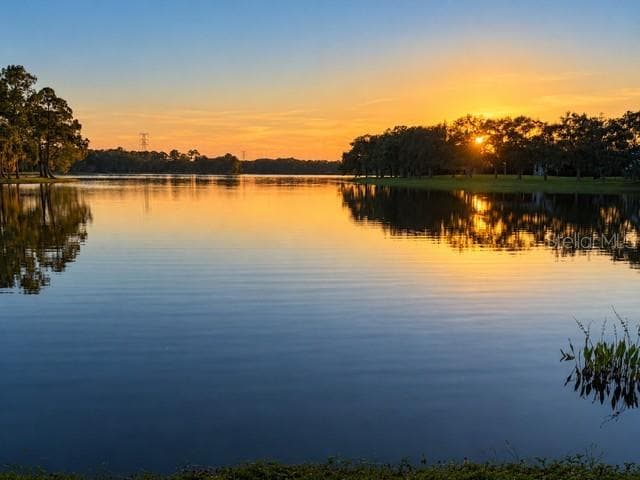 Single Family Residence at 14623 CANOPY DR, TAMPA, photo 3 of 74