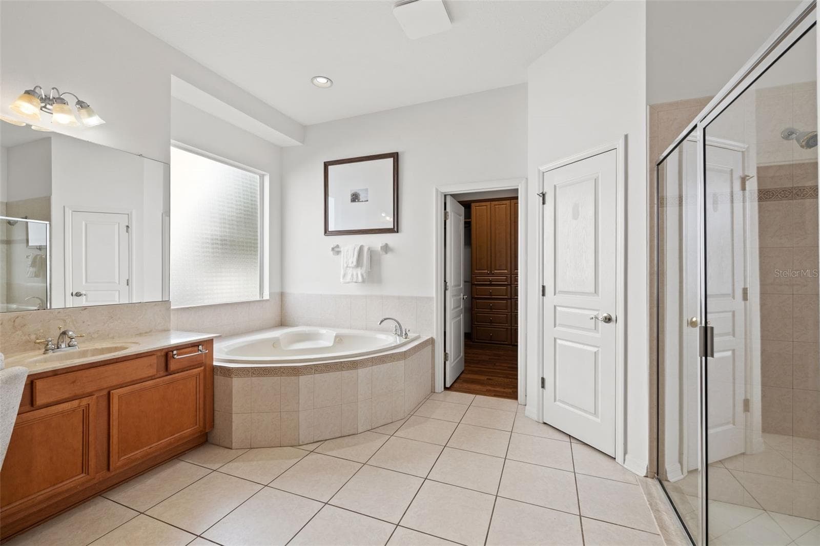Single Family Residence at 14623 CANOPY DR, TAMPA, photo 30 of 74