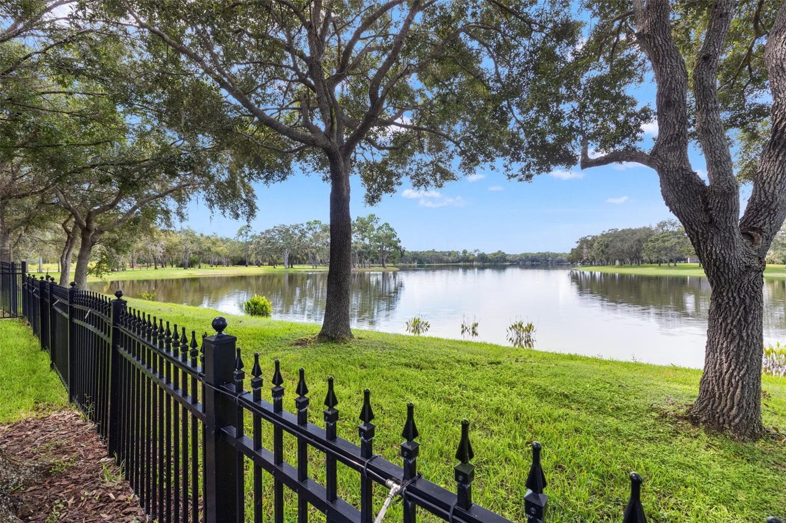Single Family Residence at 14623 CANOPY DR, TAMPA, photo 58 of 74