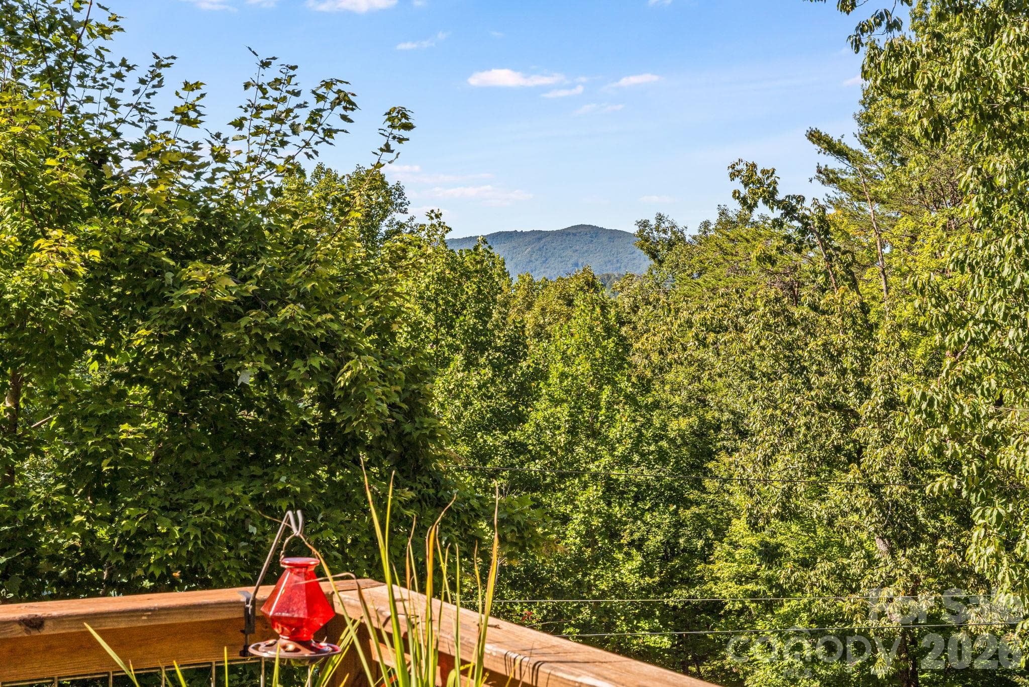 Mountain View from Deck - 576 Pheasant Street, Lake Lure