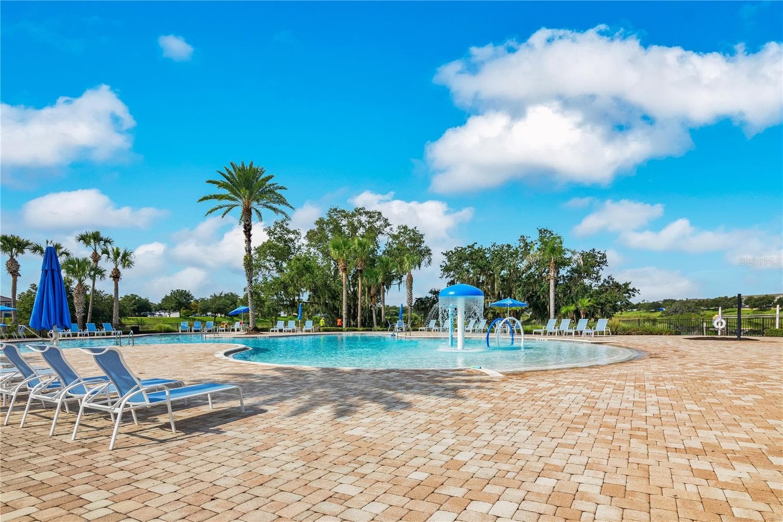 Single Family Residence at 15066 MARBLED GODWIT DR, WINTER GARDEN, photo 46 of 77