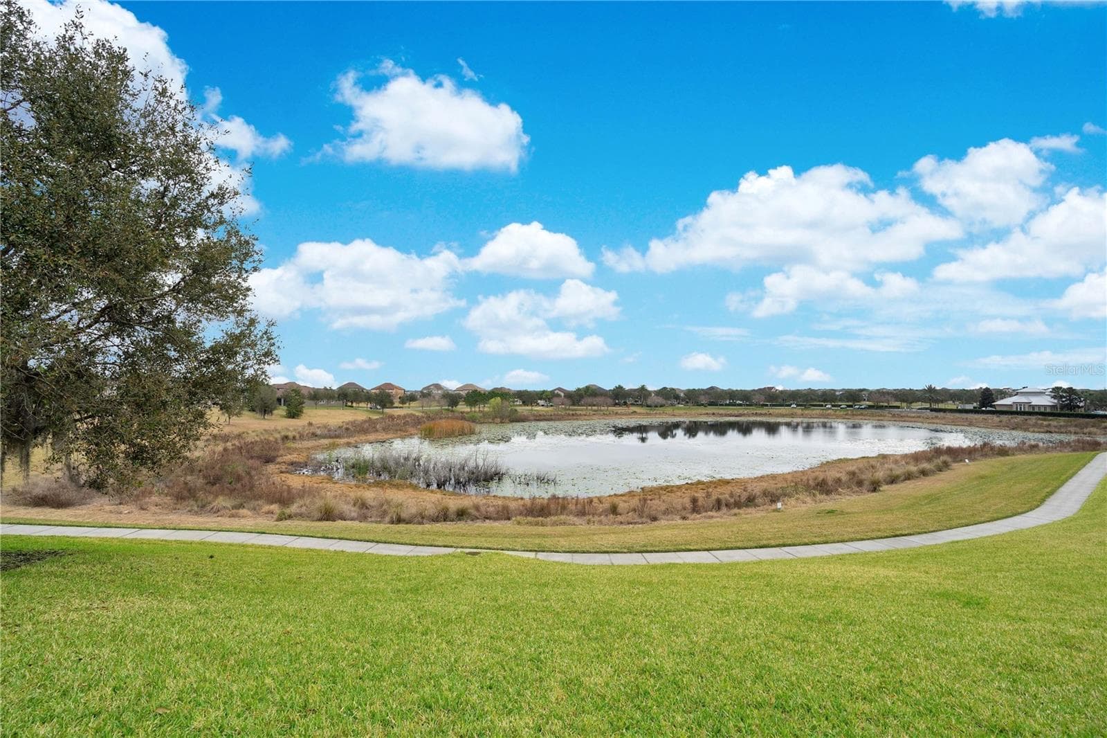 Single Family Residence at 15066 MARBLED GODWIT DR, WINTER GARDEN, photo 50 of 77