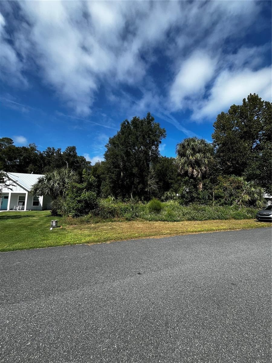 Land at 9239 EMILY DR, FANNING SPRINGS, photo 3 of 10