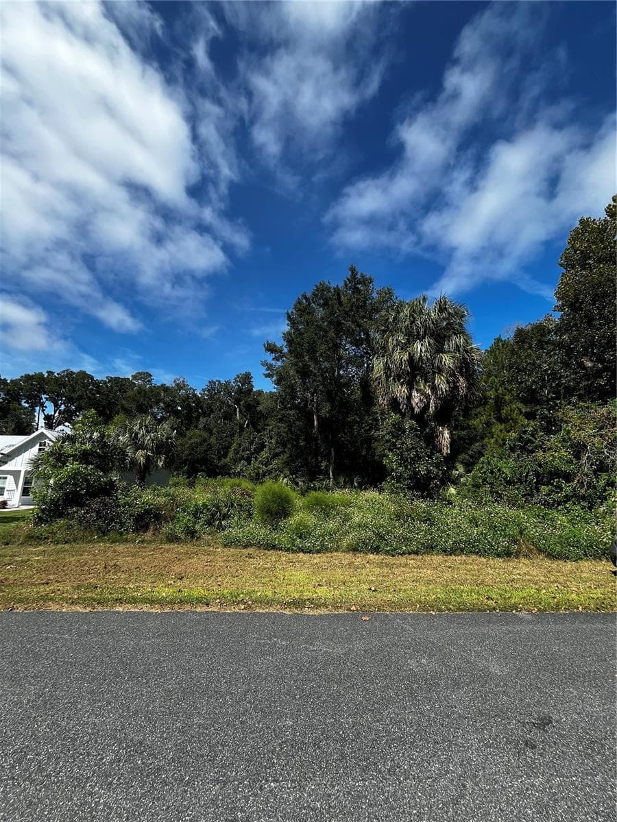 Land at 9239 EMILY DR, FANNING SPRINGS, photo 5 of 10