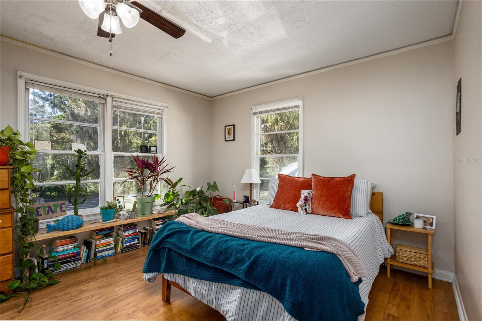 Quadruplex at 213 NE BLVD BLVD #213-215, GAINESVILLE, photo 22 of 47