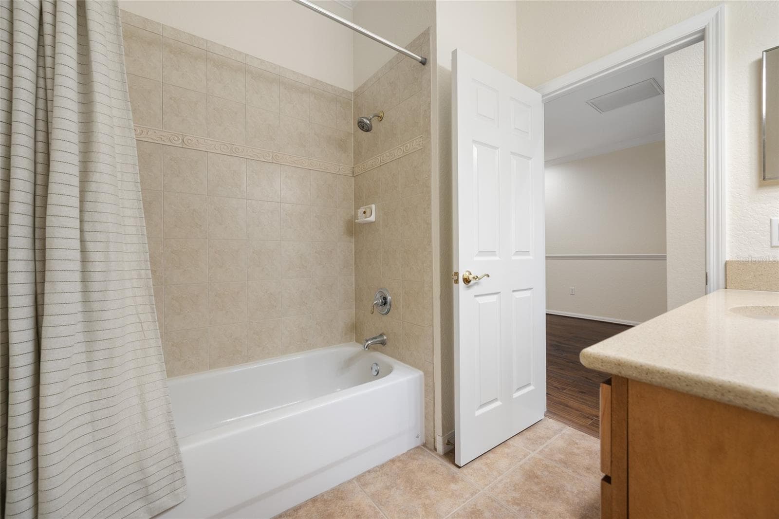 Hall Bath - Tub w/Shower! - 9719 TAYLOR ROSE LN, SEMINOLE