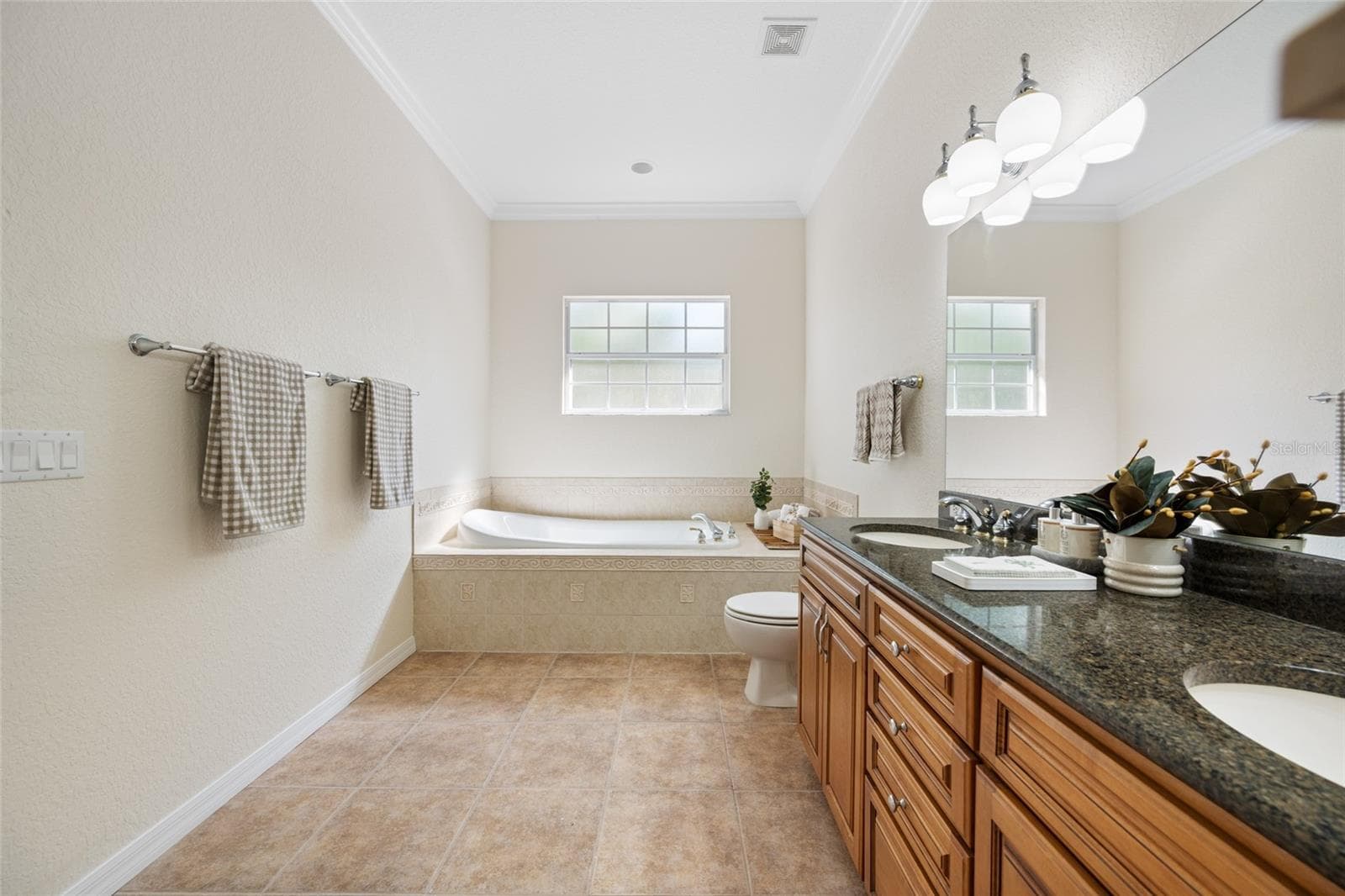 Large Garden Tub, High Ceiling & Crown Molding! - 9719 TAYLOR ROSE LN, SEMINOLE