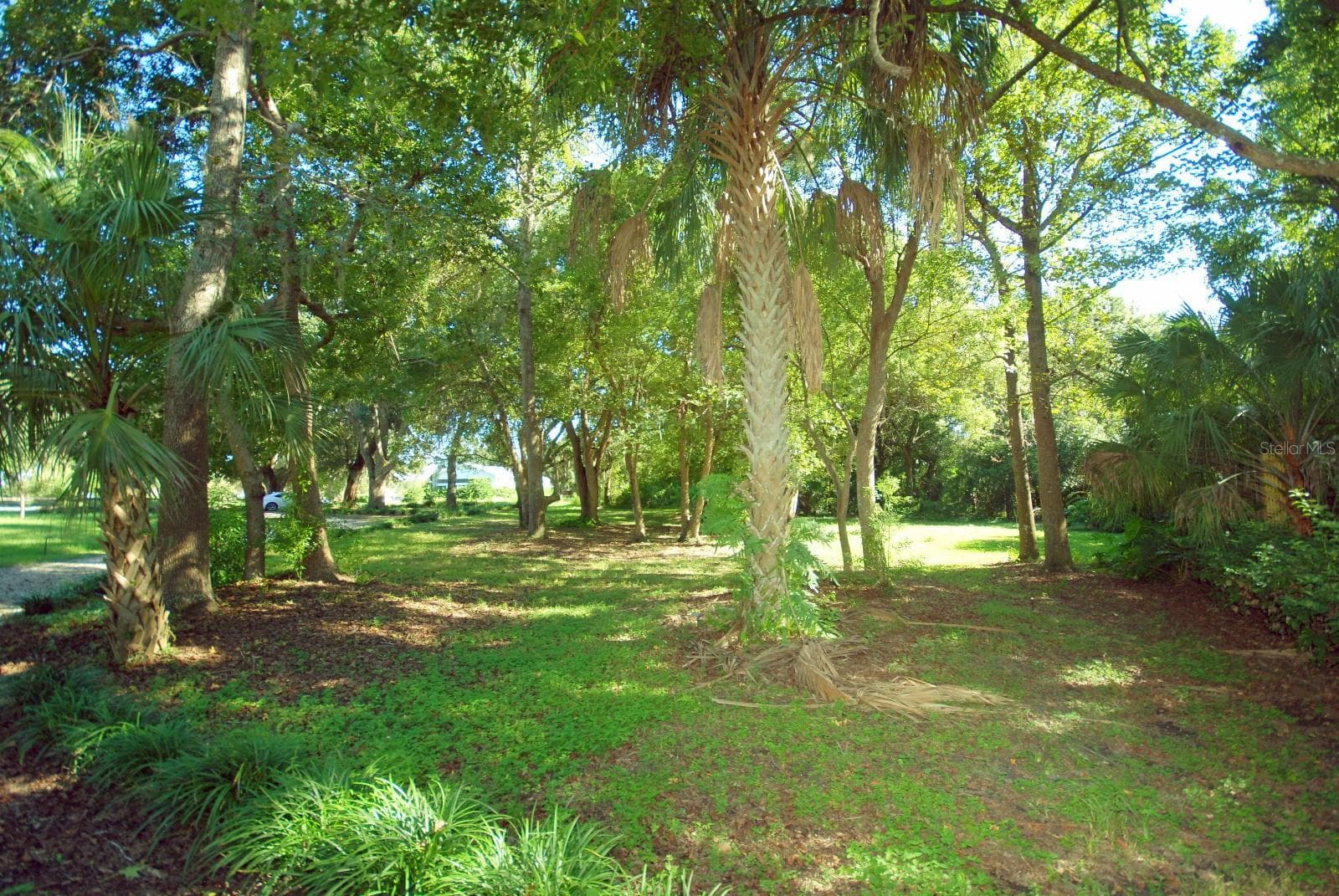 FRONT PICNIC AREA - 13022 E WHEELER RD, DOVER