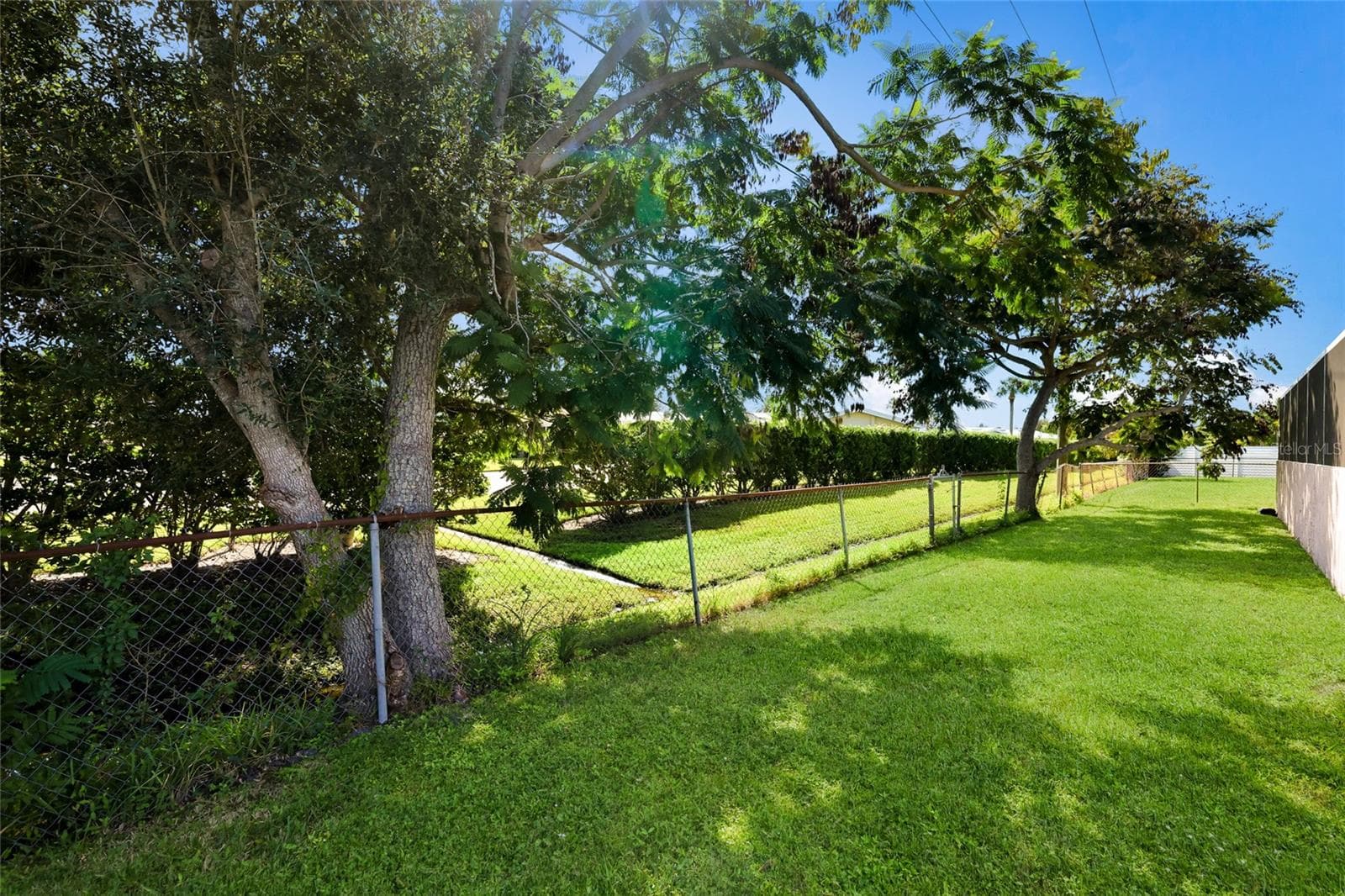 Mature Trees - 3327 S LOCKWOOD RIDGE RD, SARASOTA