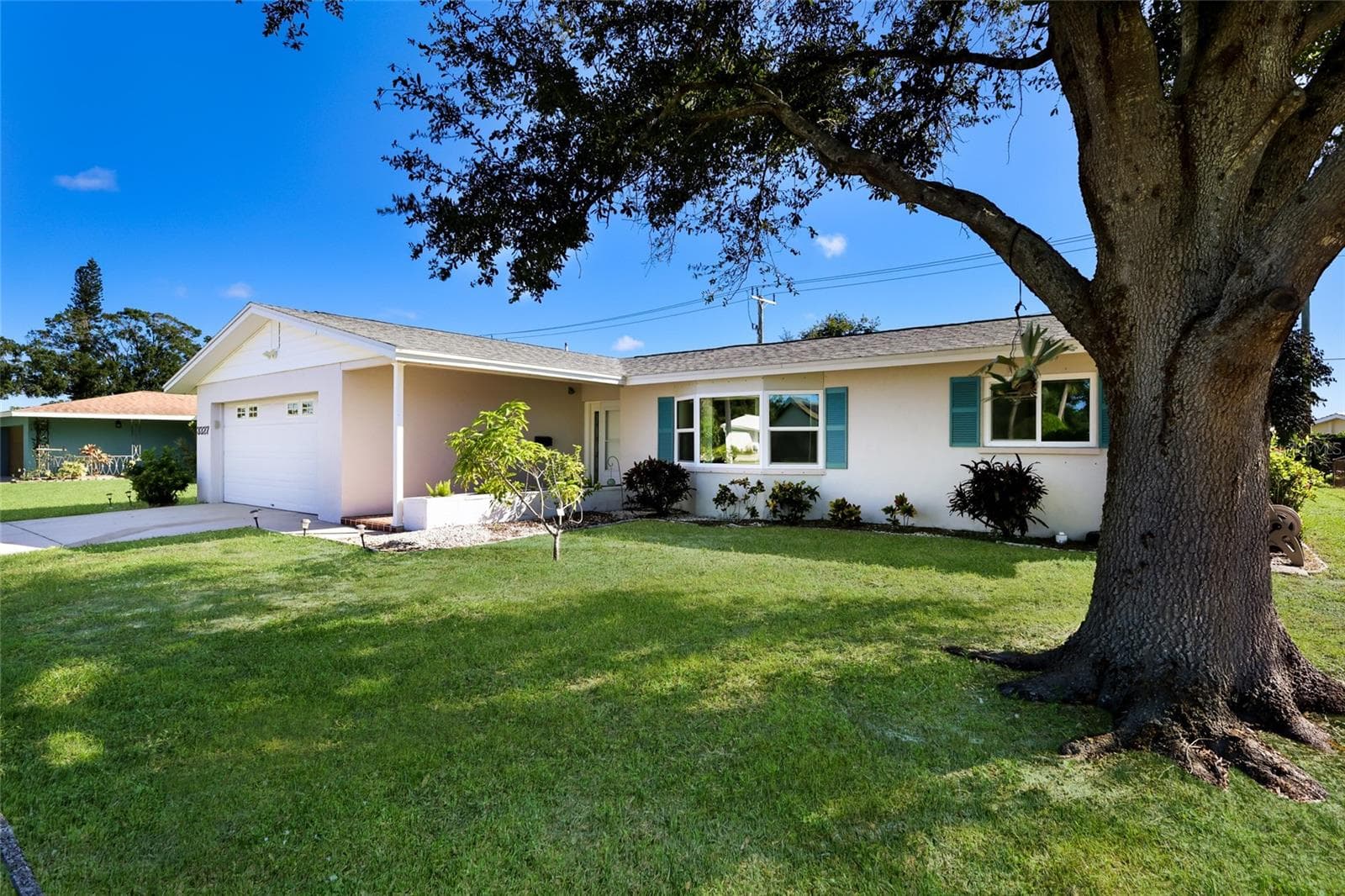 Mature Trees - 3327 S LOCKWOOD RIDGE RD, SARASOTA