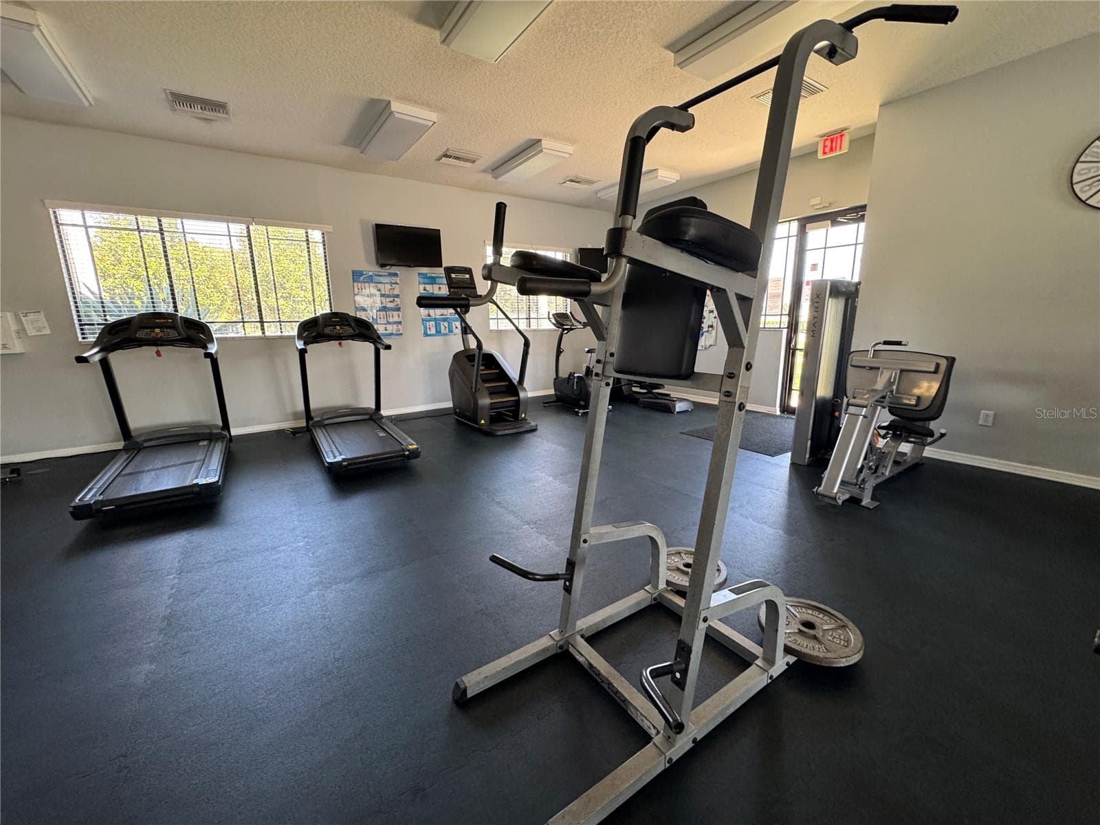 gym - 8427 CARRIAGE POINTE DR, GIBSONTON