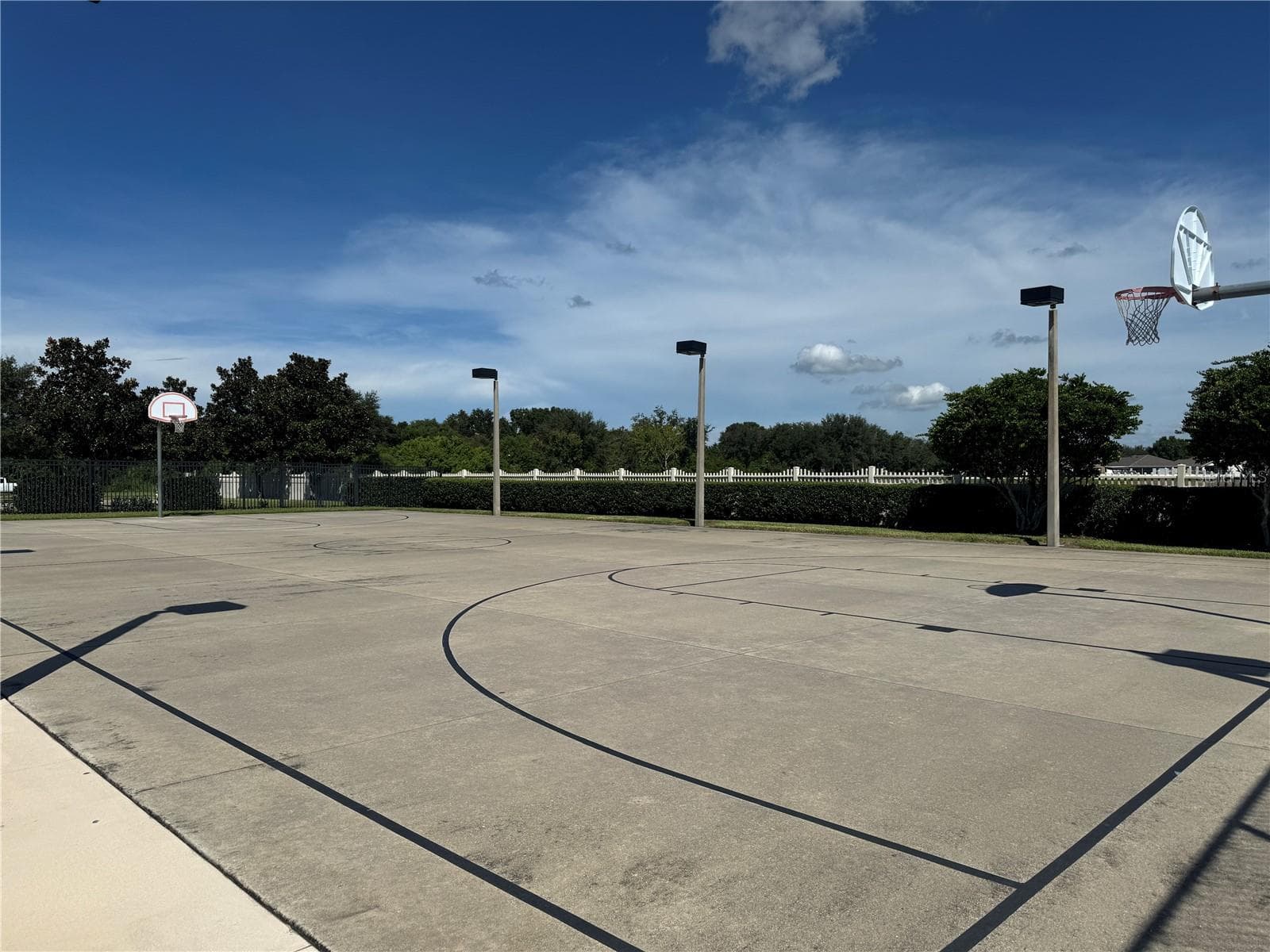 basketball - 8427 CARRIAGE POINTE DR, GIBSONTON