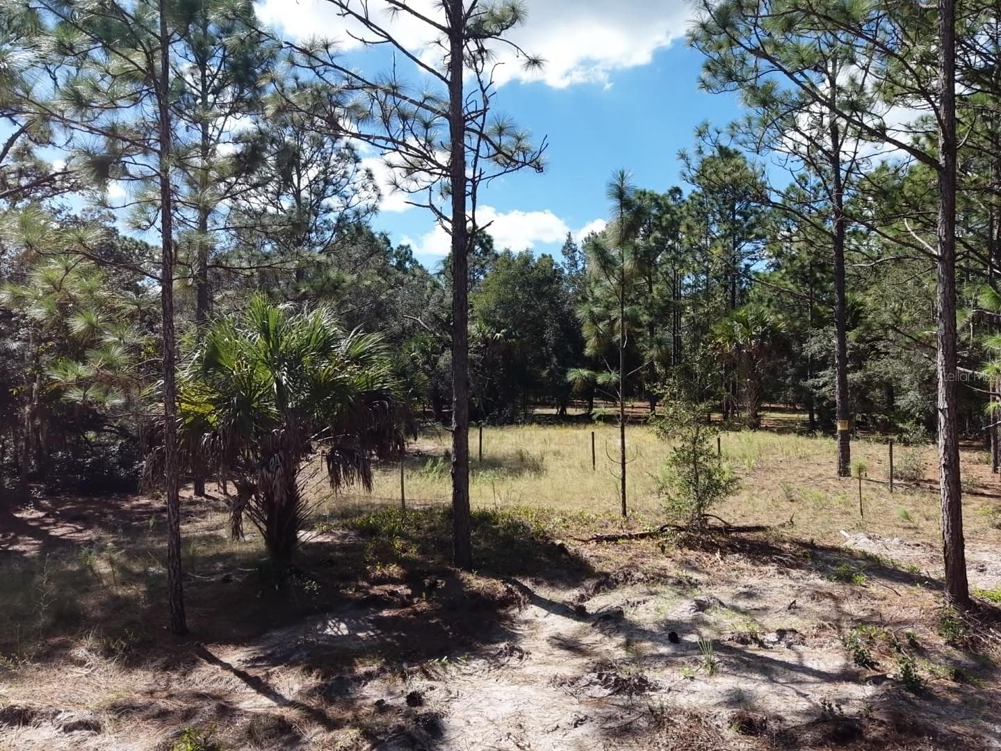 Land at 7416 N NATHAN PT, CRYSTAL RIVER, photo 2 of 78