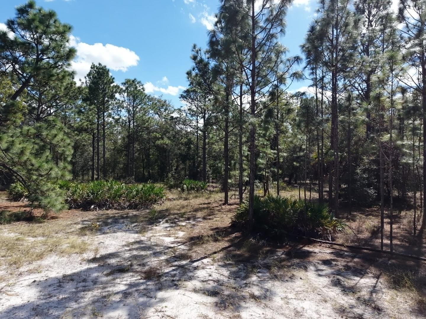 Land at 7416 N NATHAN PT, CRYSTAL RIVER, photo 3 of 78